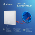 Комплект два умных одноклавишных выключателя и хаб Hommyn SW11HOMKIT04
