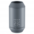 Термостатическая головка Royal Thermo Smart Heat 2.0 серебристый RATESH23015SS