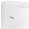 Накопительный водонагреватель Ballu BWH/S 80 Cetrion Inverter