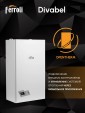 Газовый котел Ferroli Divabel F13
