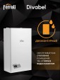 Газовый котел Ferroli Divabel F13