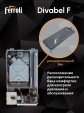 Газовый котел Ferroli Divabel F13