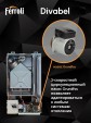 Газовый котел Ferroli Divabel F13