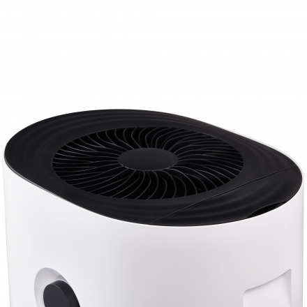 Мойка воздуха Electrolux EHW-620