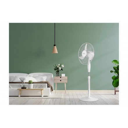 Вентилятор напольный Ballu BFF-806