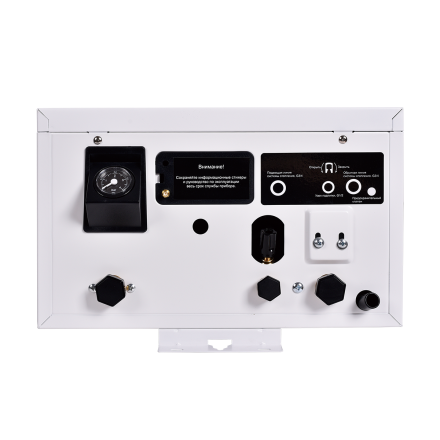 Электрический котел Thermex Boss 12 Wi-Fi (White)