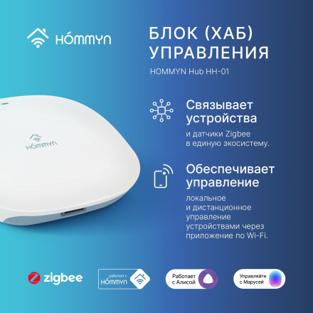 Комплект два датчика протечки и хаб Старт HOMMYN W2HOMKIT01