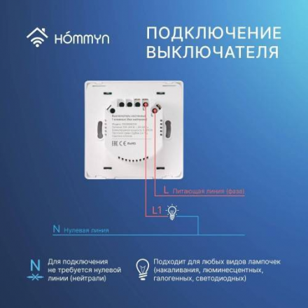 Комплект два умных одноклавишных выключателя и хаб Hommyn SW11HOMKIT04