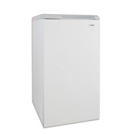 Газовый котел Protherm Медведь 20 TLO