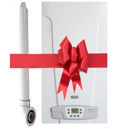 Газовый котел Baxi ECO 4S 24F