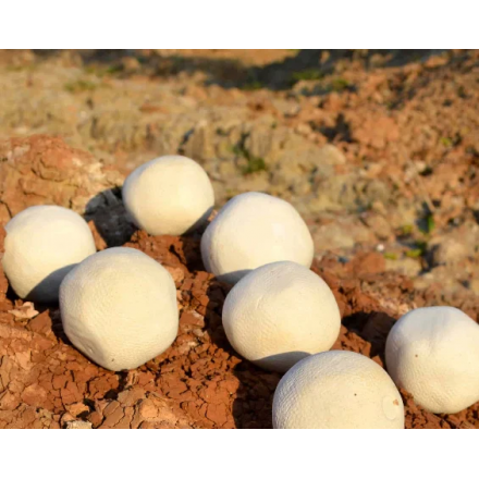 Керамические камни для бани МОВИ (с огранкой)