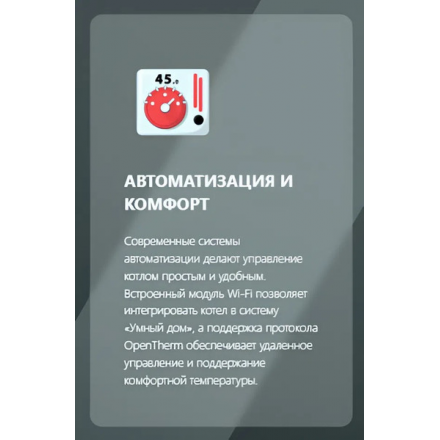 Газовый котел Thermex Antares FH32