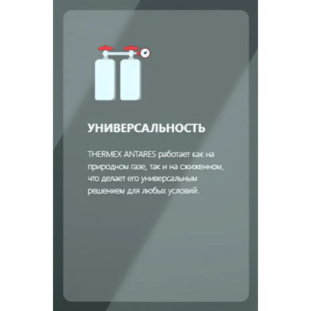 Газовый котел Thermex Antares FH32