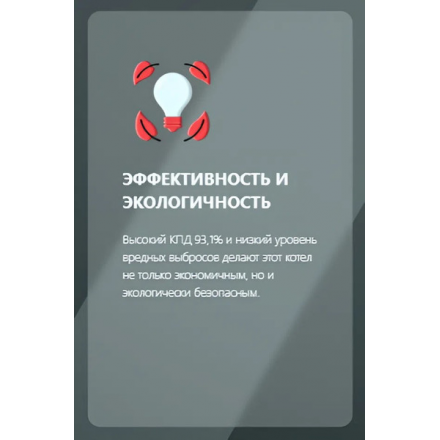 Газовый котел Thermex Antares FH32