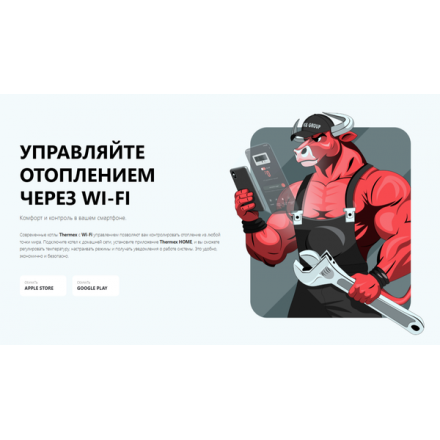 Газовый котел Thermex Antares FH32
