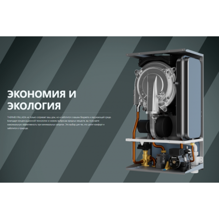 Конденсационный газовый котел Thermex Pallada PS24