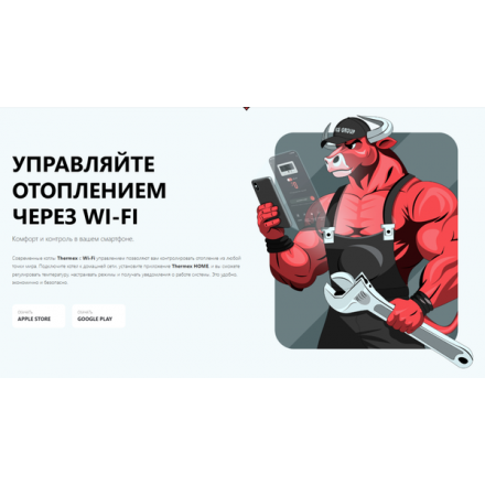 Конденсационный газовый котел Thermex Pallada PS24