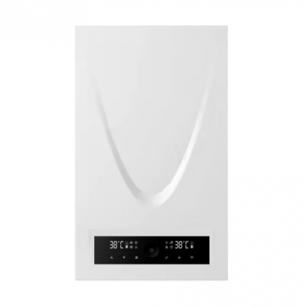 Газовый котел BellaGas Premium 24.2, двойная горелка, с трубой