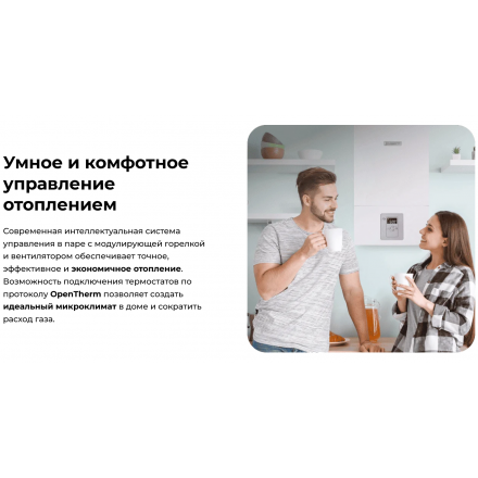 Газовый котел LaggarTT ГАЗ 6000 35C