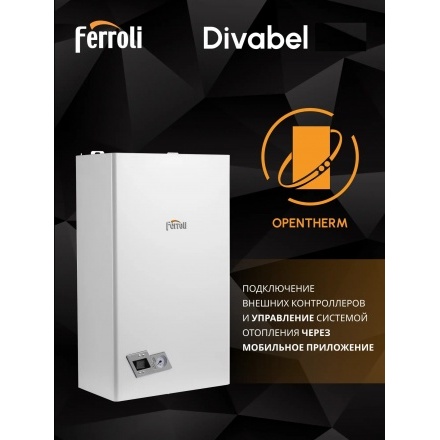 Газовый котел Ferroli Divabel F13
