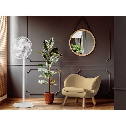 Вентилятор напольный Electrolux EFF-1005