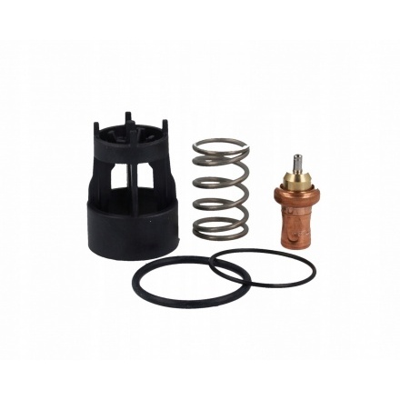 Ремонтный комплект AFRISO с термостатической вставкой 50°С