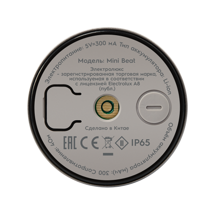 Колонка беспроводная Electrolux Mini Beat