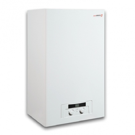 Газовый котел Protherm Рысь Lynx HK 24