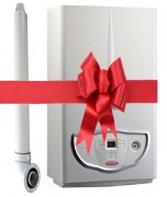 Газовый котел Immergas EOLO Mini 24 X 3E